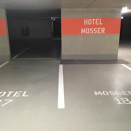 Altstadt Hotel Mosser Villach Mit Parkplatz-3